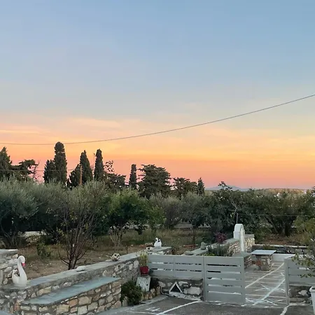 Star Paros * Drios